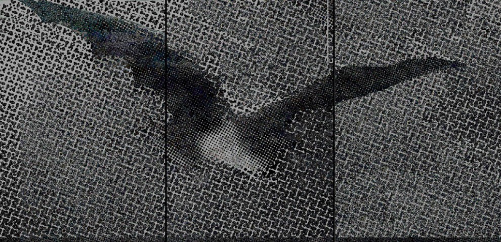 By night 7 | serigraphy | 210×100 cm